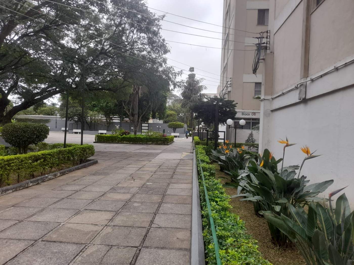 Apartamento, 3 quartos, 66 m² - Foto 1
