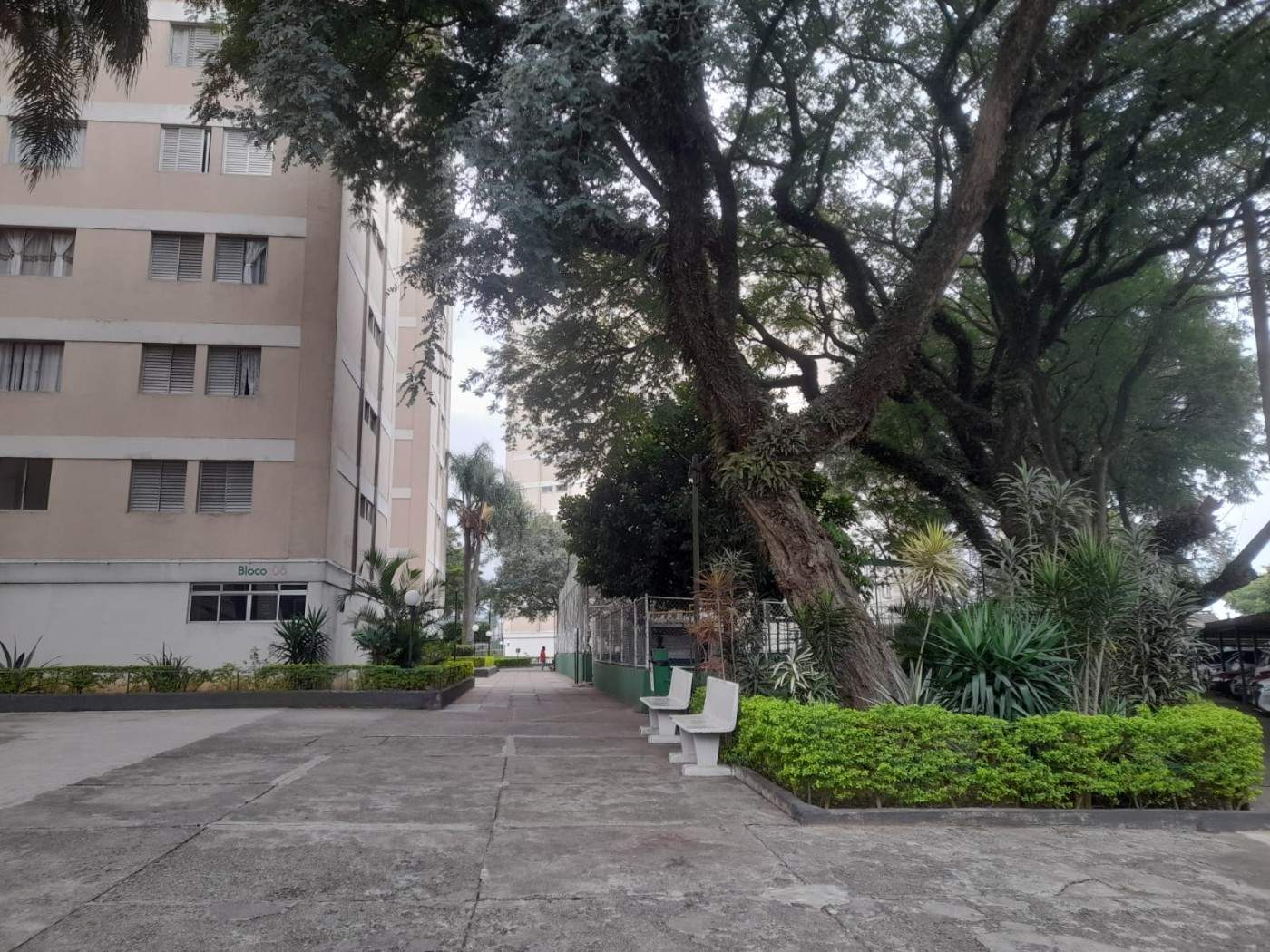 Apartamento, 3 quartos, 66 m² - Foto 2